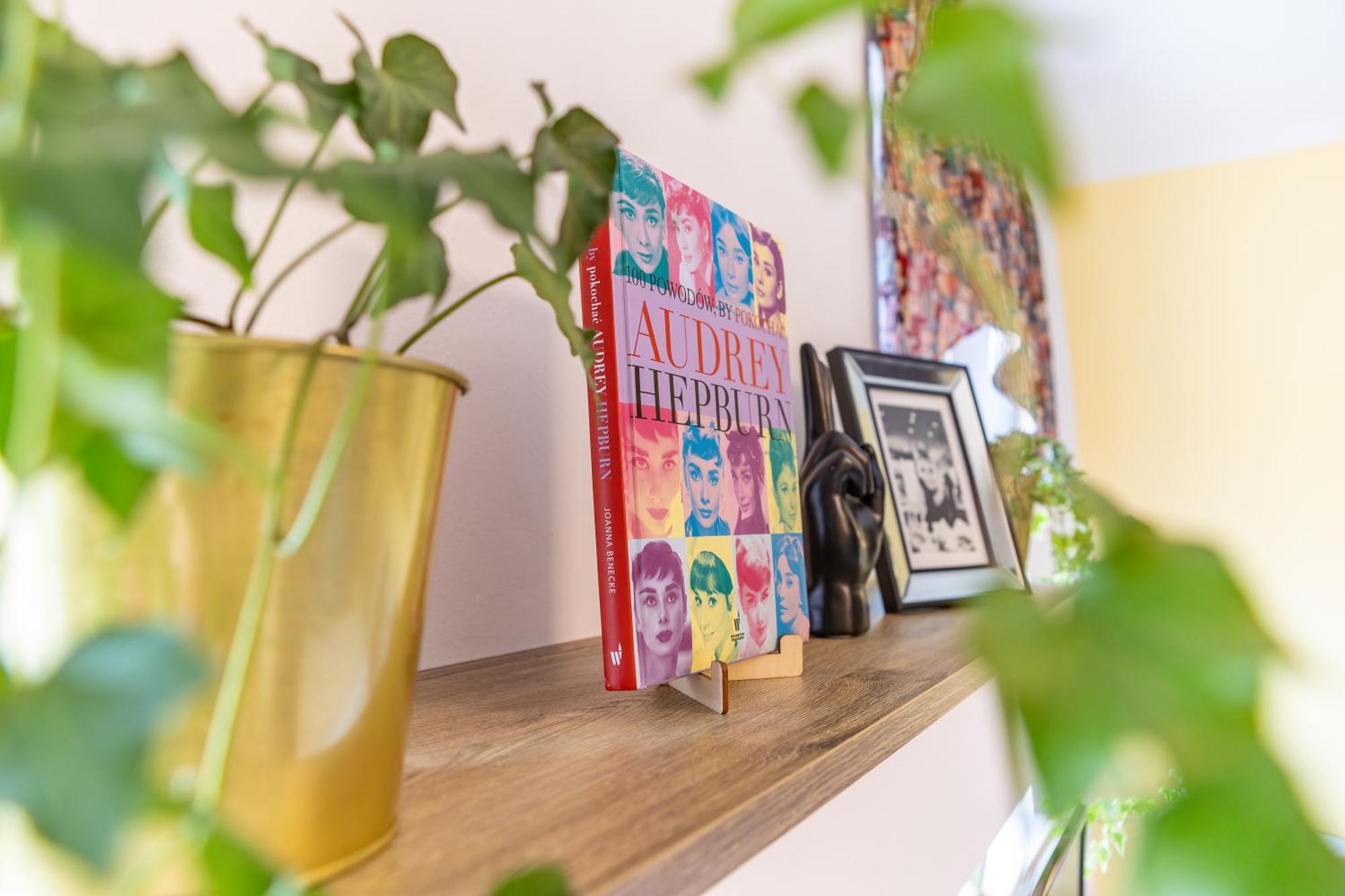 Apartament Domo Wrocław Eksteriør billede